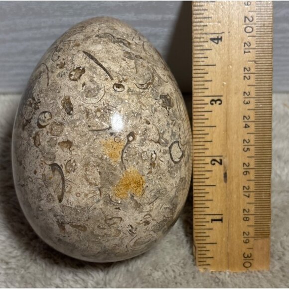 Polished Fossilized Stone Egg With Intricate Natural Patterns Beige Brown 4" - Picture 6 of 7
